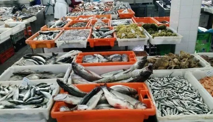 Blue - Caminhos De Santiago-airport Lägenhet